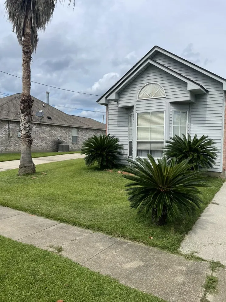 Local yard cleanup service for outdoor upgrades across Baton Rouge, LA - Cleaning The Earth