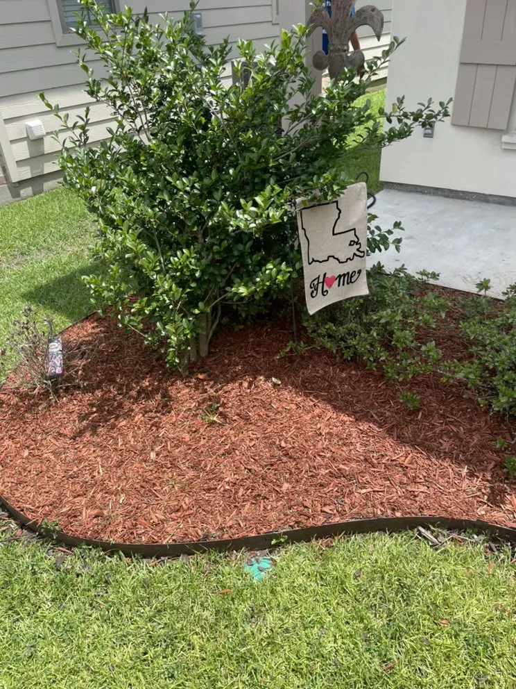 Expert landscape design in Baton Rouge, LA by Cleaning The Earth