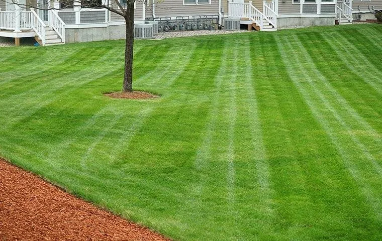 Top-rated yard maintenance near you in McKeesport, PA by CleanKutz