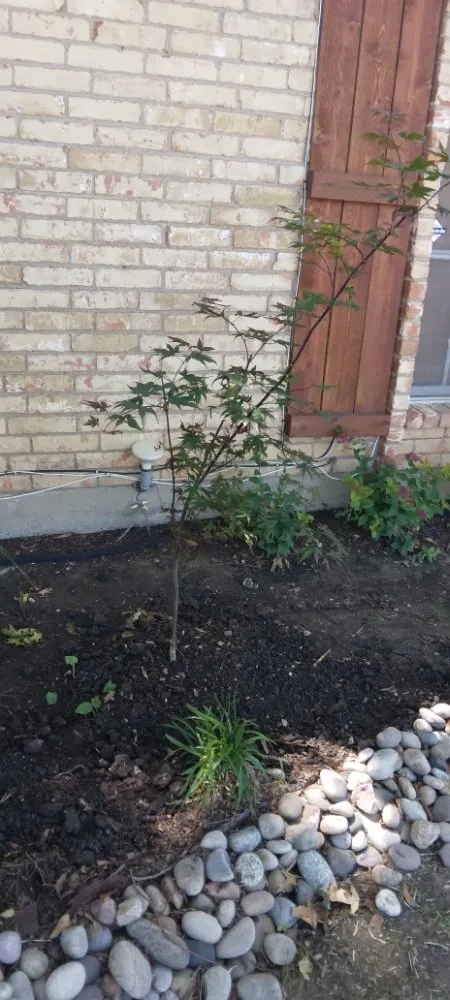 Local residential landscaping in Garland, TX by Cleanpro Lawncare