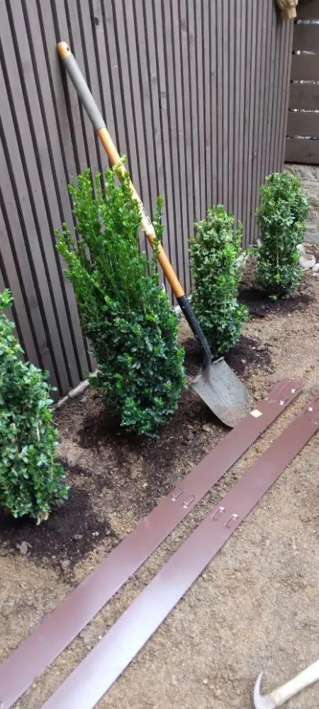 Expert lawn mowing service with custom design across Garland, TX - Cleanpro Lawncare