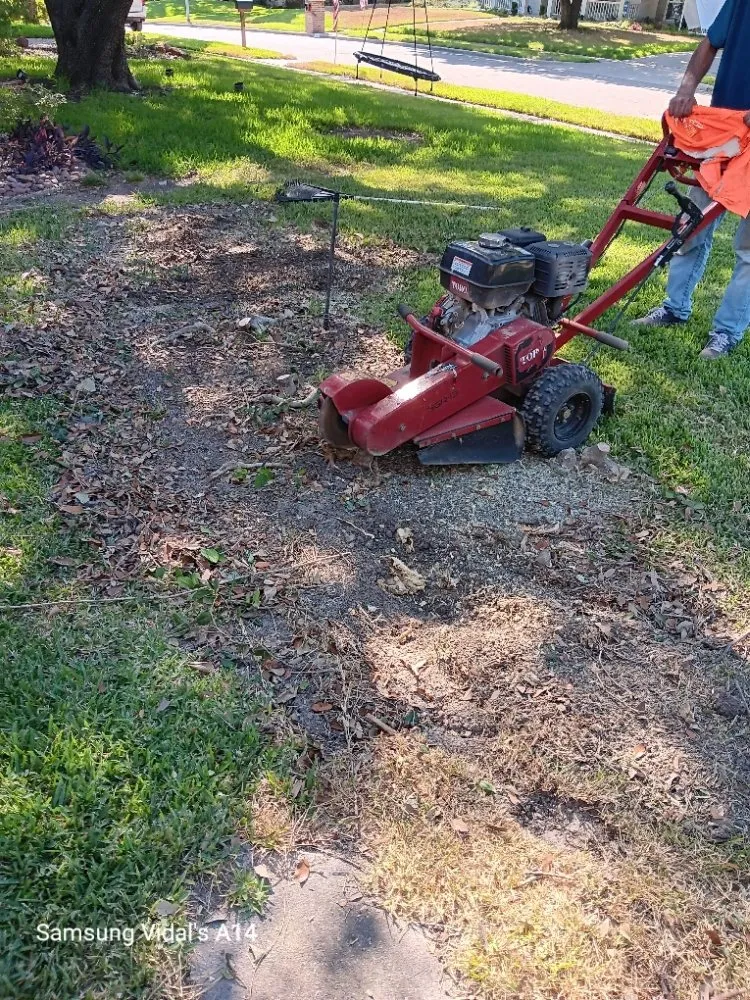 Affordable garden landscaping near you in Garland, TX by Cleanpro Lawncare