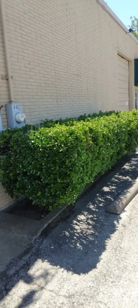 Affordable landscape installation in Garland, TX by Cleanpro Lawncare