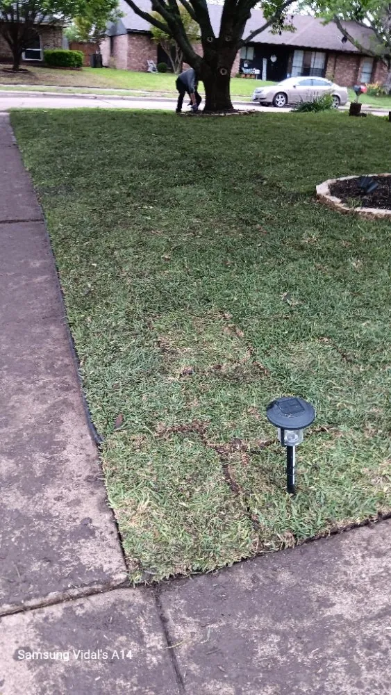 Local garden landscaping in Garland, TX by Cleanpro Lawncare