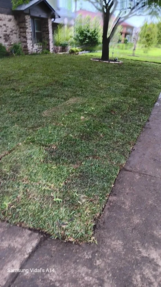 Affordable residential landscaping near you across Garland, TX - Cleanpro Lawncare