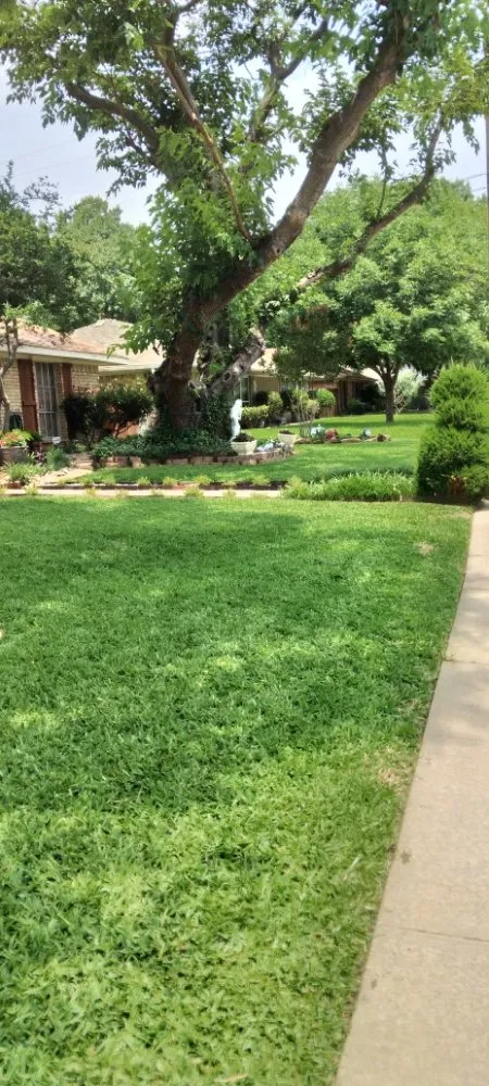 Custom landscape installation for year-round maintenance in Garland, TX by Cleanpro Lawncare