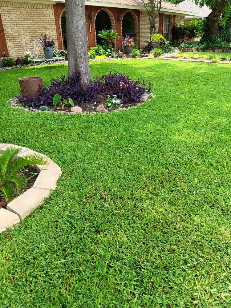 Custom lawn care service in Garland, TX - Cleanpro Lawncare