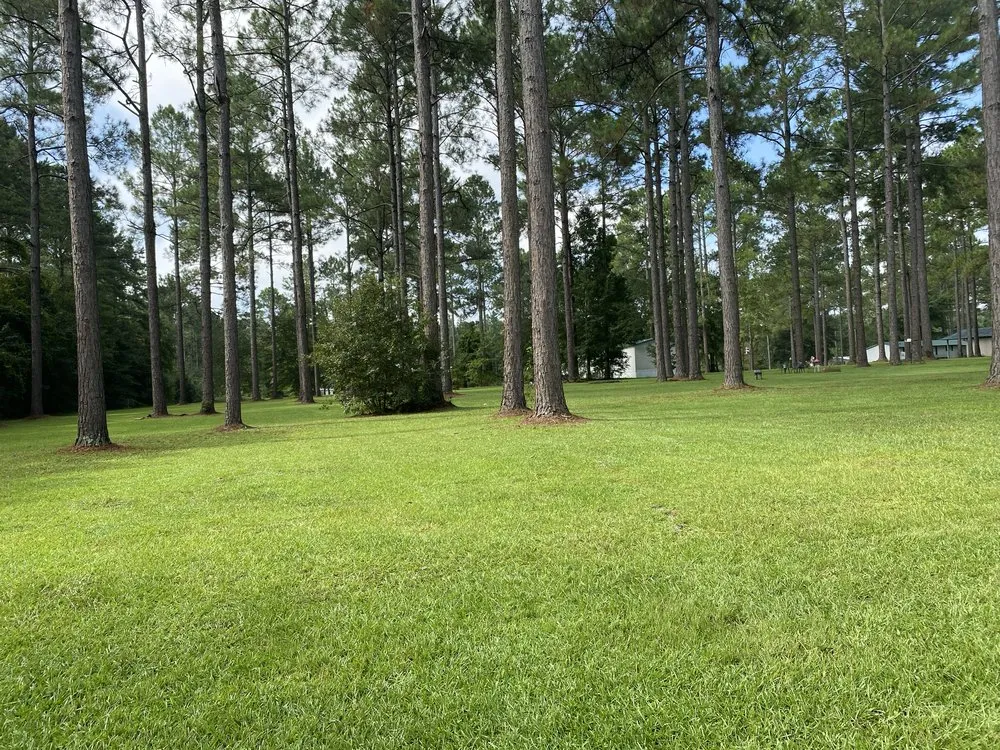 Reliable garden landscaping for beautiful yards across Tallahassee, FL - Cleansational Care Solutions