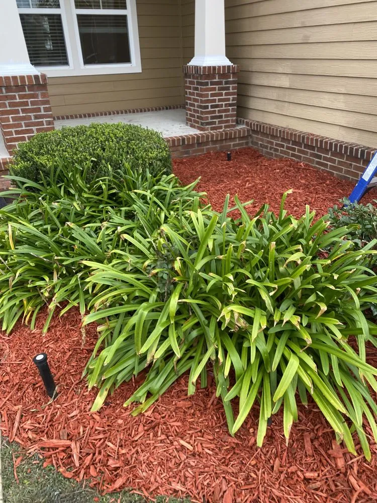 Trusted residential landscaping in Tallahassee, FL - Cleansational Care Solutions