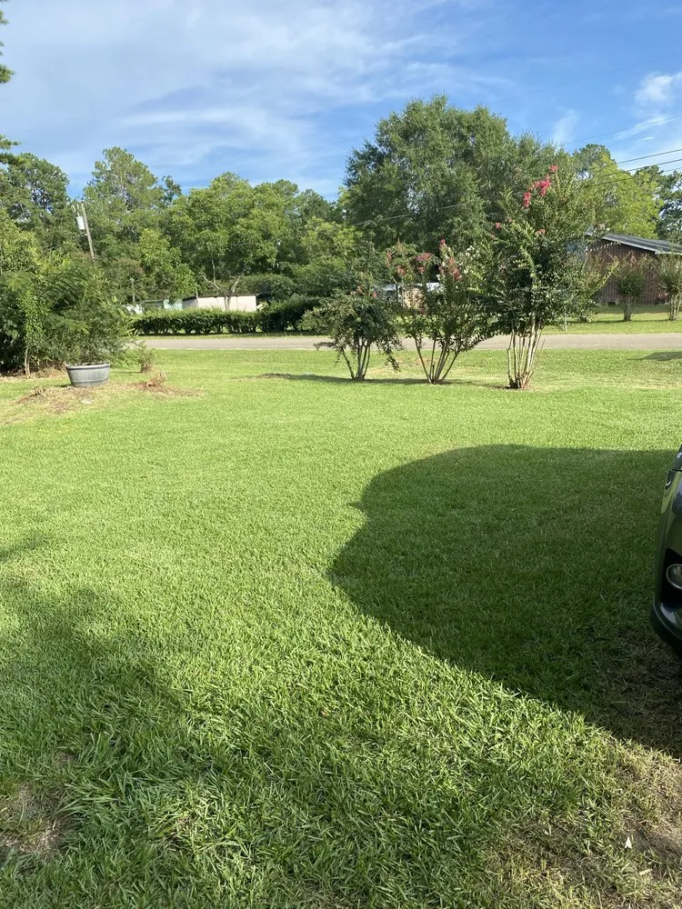 Top-rated garden landscaping experts serving Tallahassee, FL - Cleansational Care Solutions