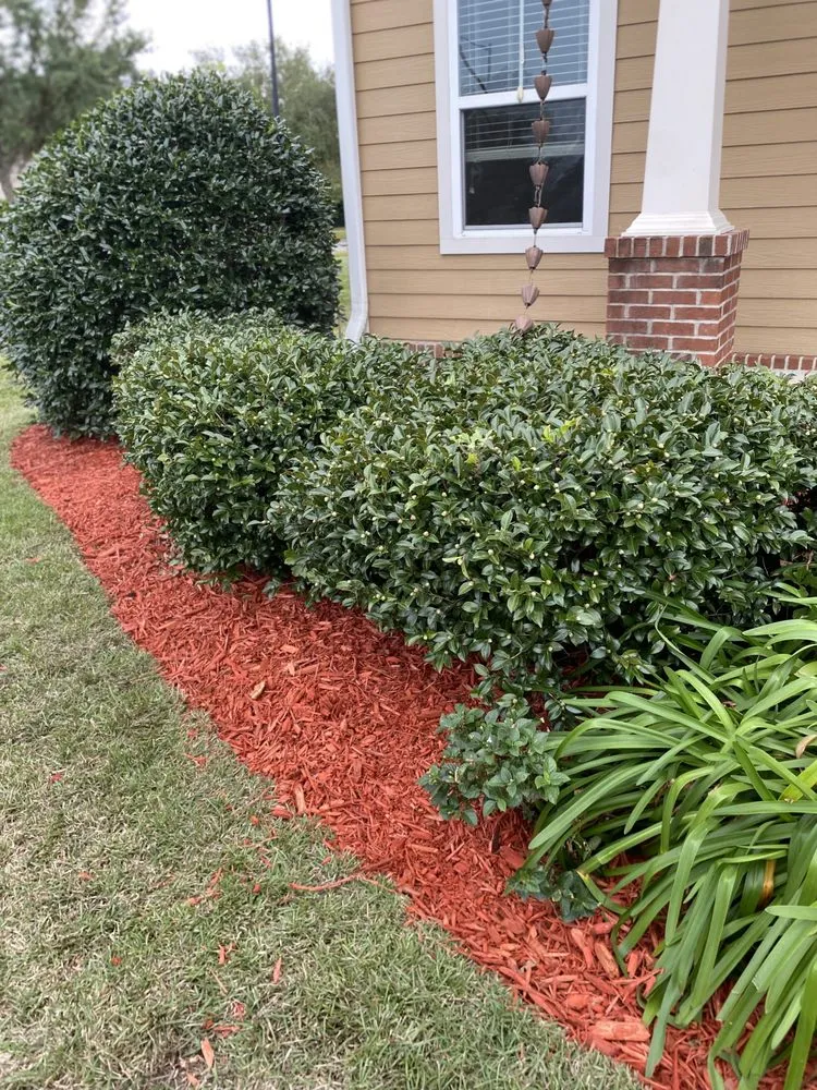 Local landscape design for year-round maintenance across Tallahassee, FL - Cleansational Care Solutions