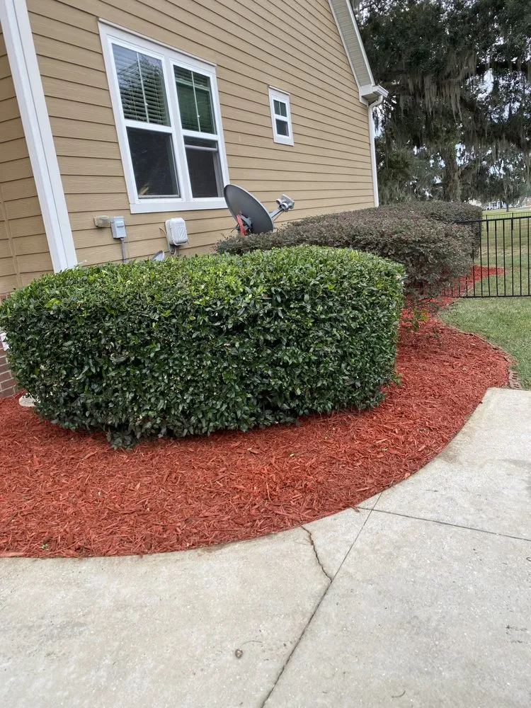 Trusted outdoor landscaping experts serving Tallahassee, FL - Cleansational Care Solutions