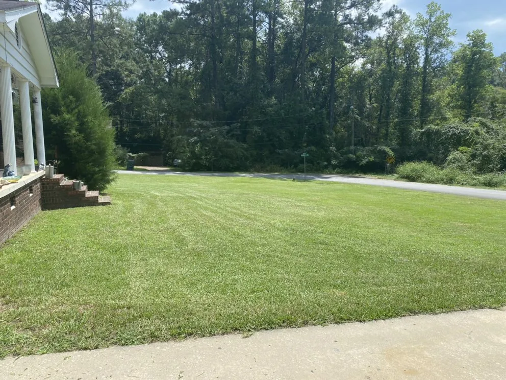 Top-rated garden landscaping experts serving Tallahassee, FL - Cleansational Care Solutions