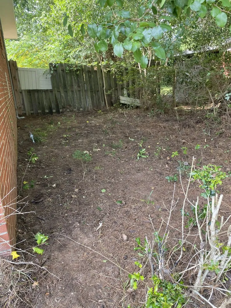 Top-rated lawn mowing service experts serving Tallahassee, FL - Cleansational Care Solutions