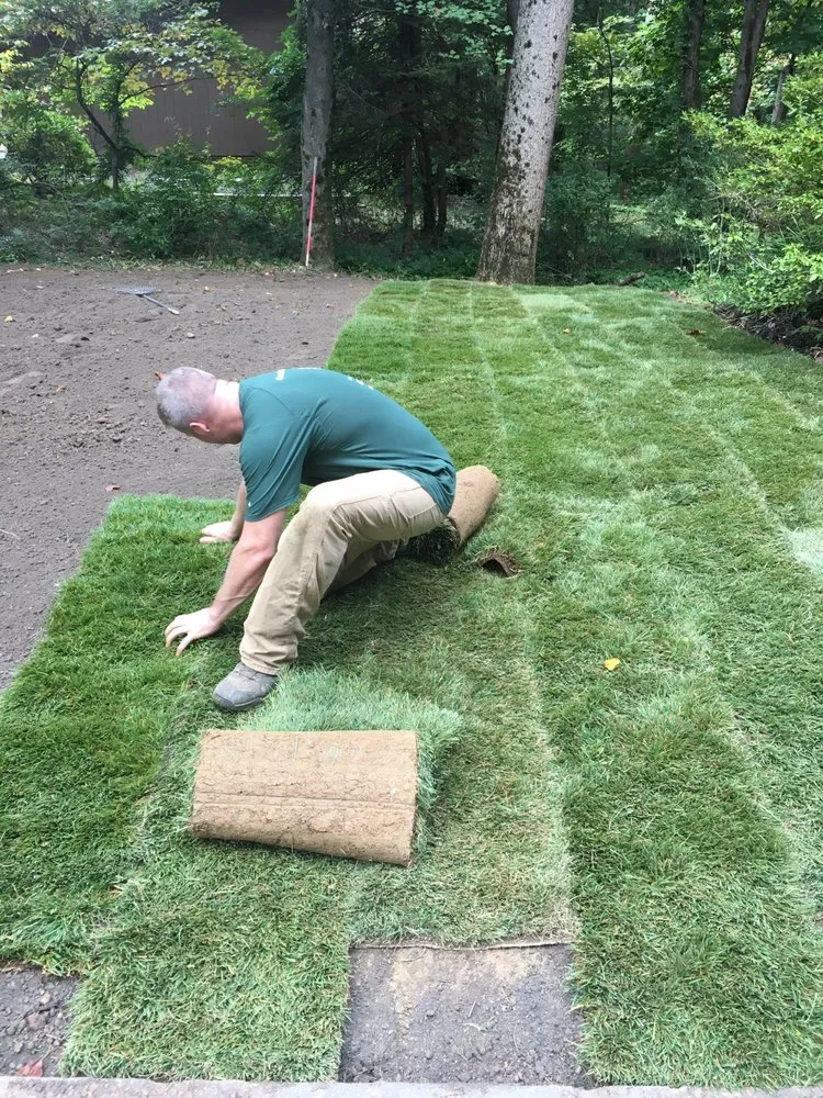 Expert landscape design in Columbia, MD by Cleanscape Design