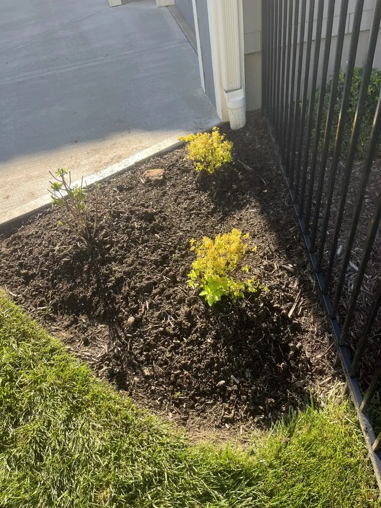 Affordable landscaping services experts serving Overland Park, KS - Cleanscape Services