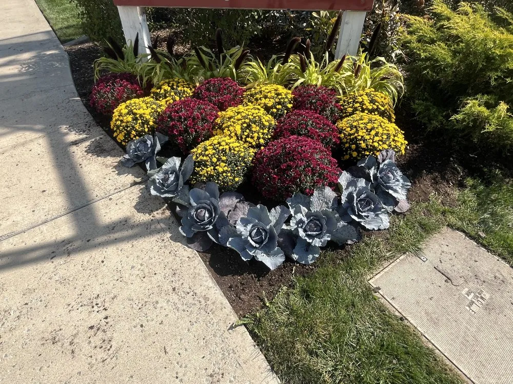 Expert landscape design with custom design in Overland Park, KS by Cleanscape Services