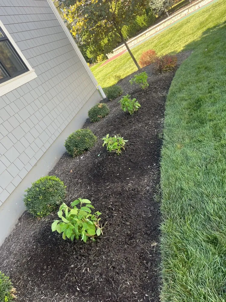 Affordable yard maintenance in Overland Park, KS by Cleanscape Services