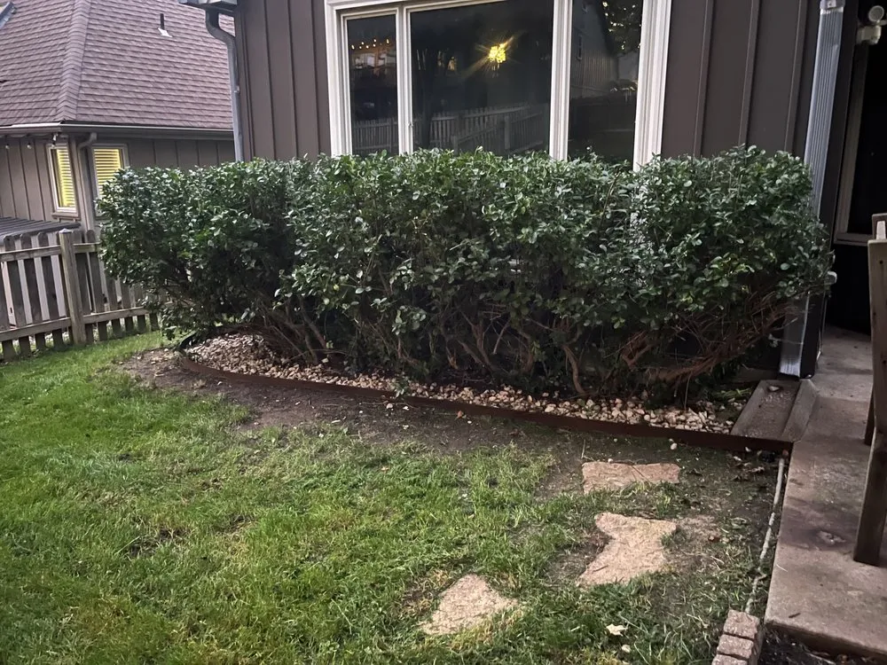 Reliable landscaping services experts serving Overland Park, KS - Cleanscape Services