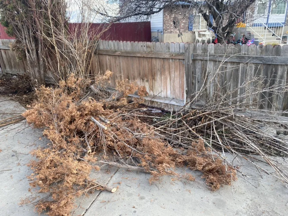 Expert garden landscaping for outdoor upgrades across West Valley City, UT - CleanScape Services