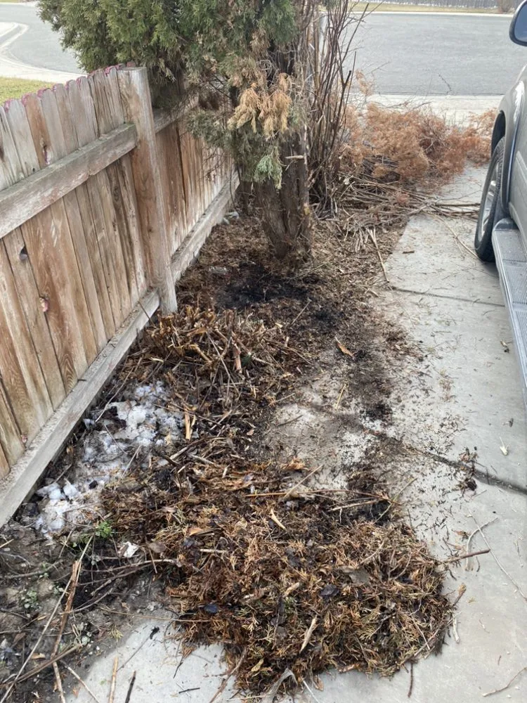 Custom yard cleanup service in West Valley City, UT by CleanScape Services