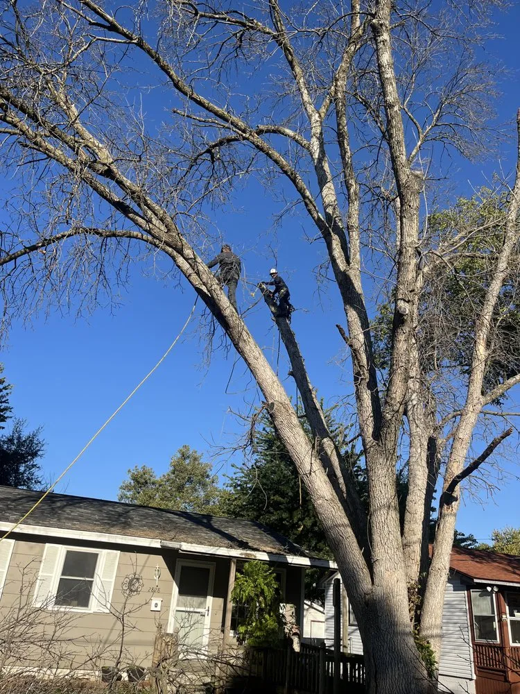 Reliable lawn care service with custom design in Ames, IA by CleanScape Solutions