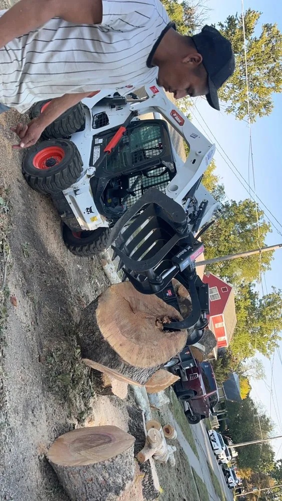 Expert yard cleanup service in Ames, IA by CleanScape Solutions