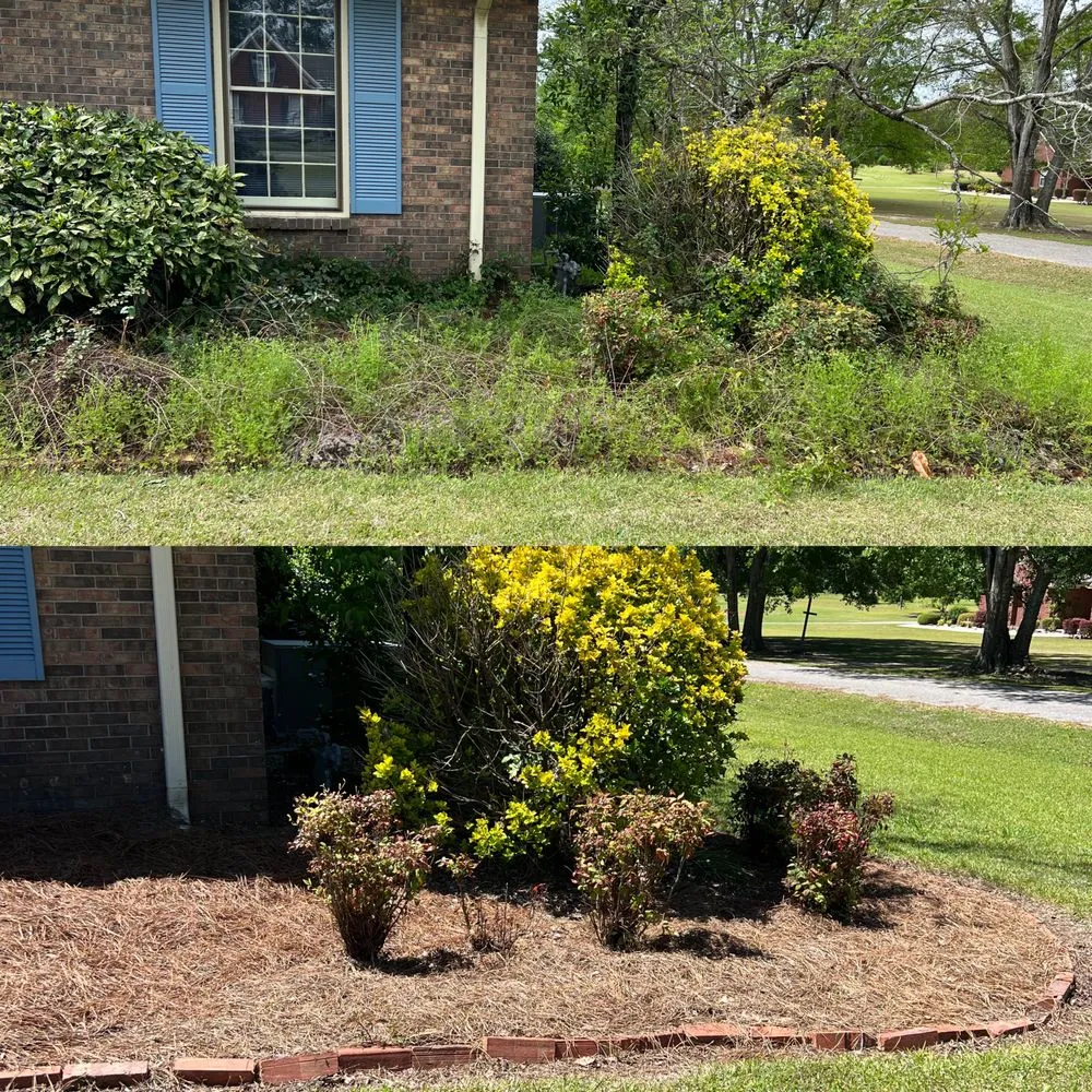 Trusted outdoor landscaping experts serving Mobile, AL - Cleanscapes
