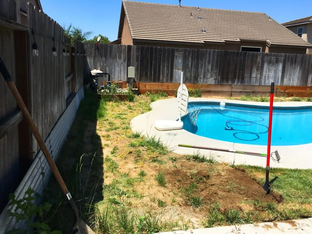 Trusted landscaping services for residential properties in Turlock, CA by Cleanscaping