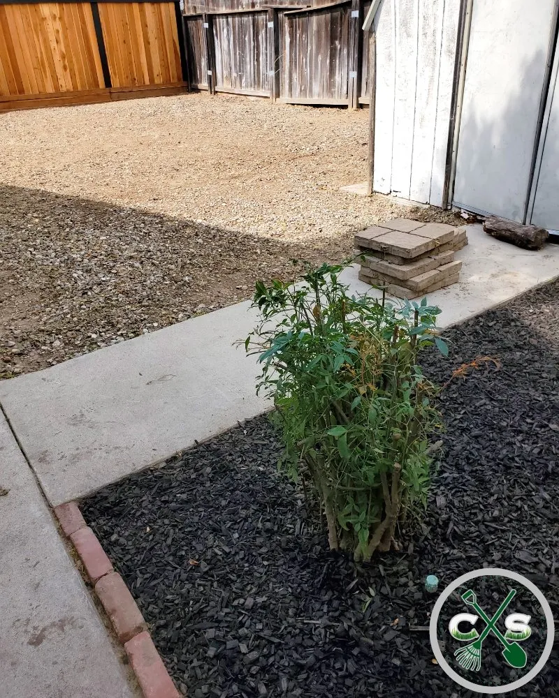 Expert residential landscaping in Turlock, CA - Cleanscaping