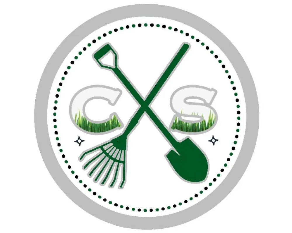 Reliable yard maintenance experts serving Turlock, CA - Cleanscaping