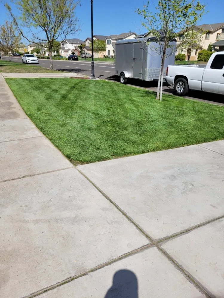 Trusted landscape design experts serving Turlock, CA - Cleanscaping