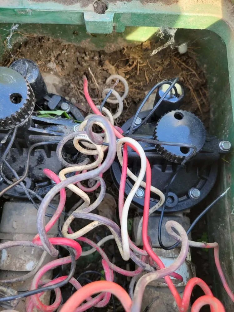 Professional landscaping services near you across Turlock, CA - Cleanscaping