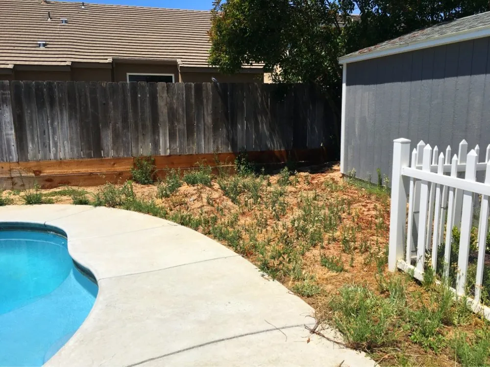 Local garden landscaping in Turlock, CA by Cleanscaping