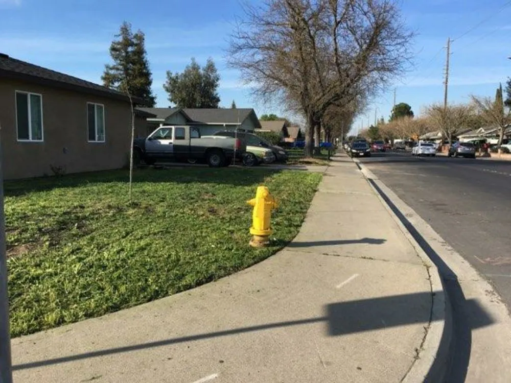 Expert landscape installation in Turlock, CA - Cleanscaping