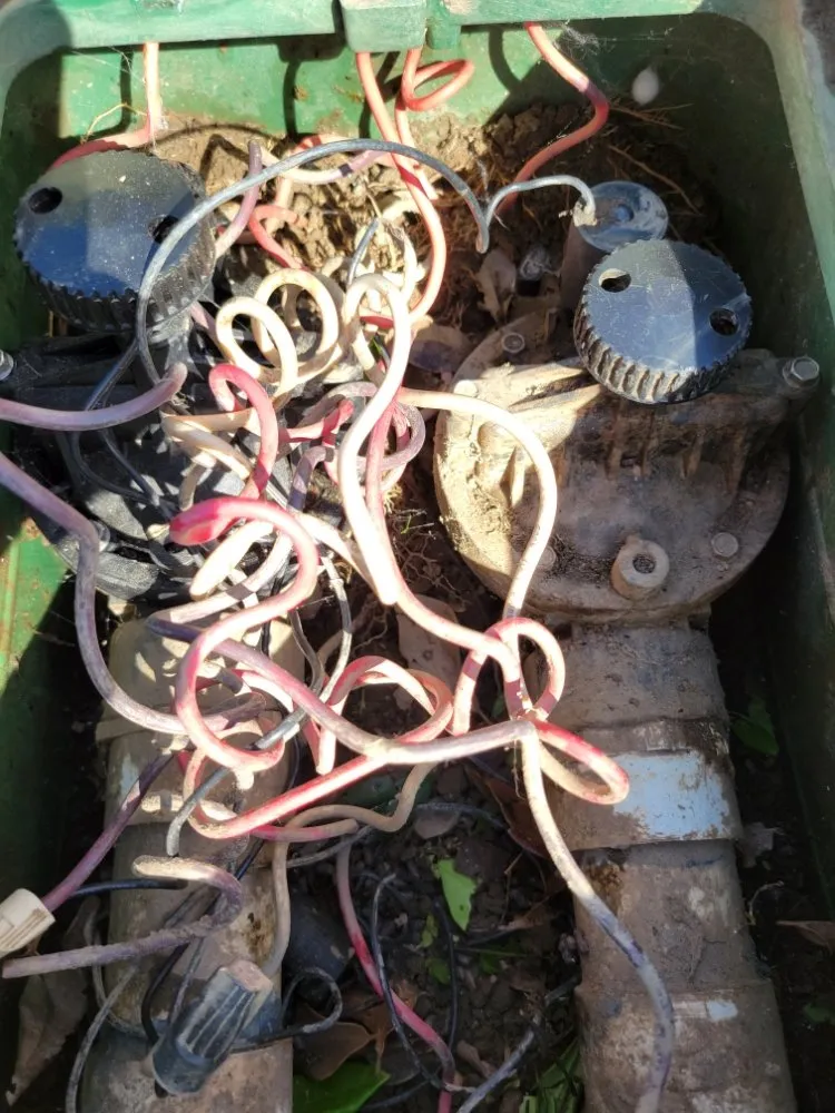 Professional residential landscaping near you in Turlock, CA by Cleanscaping