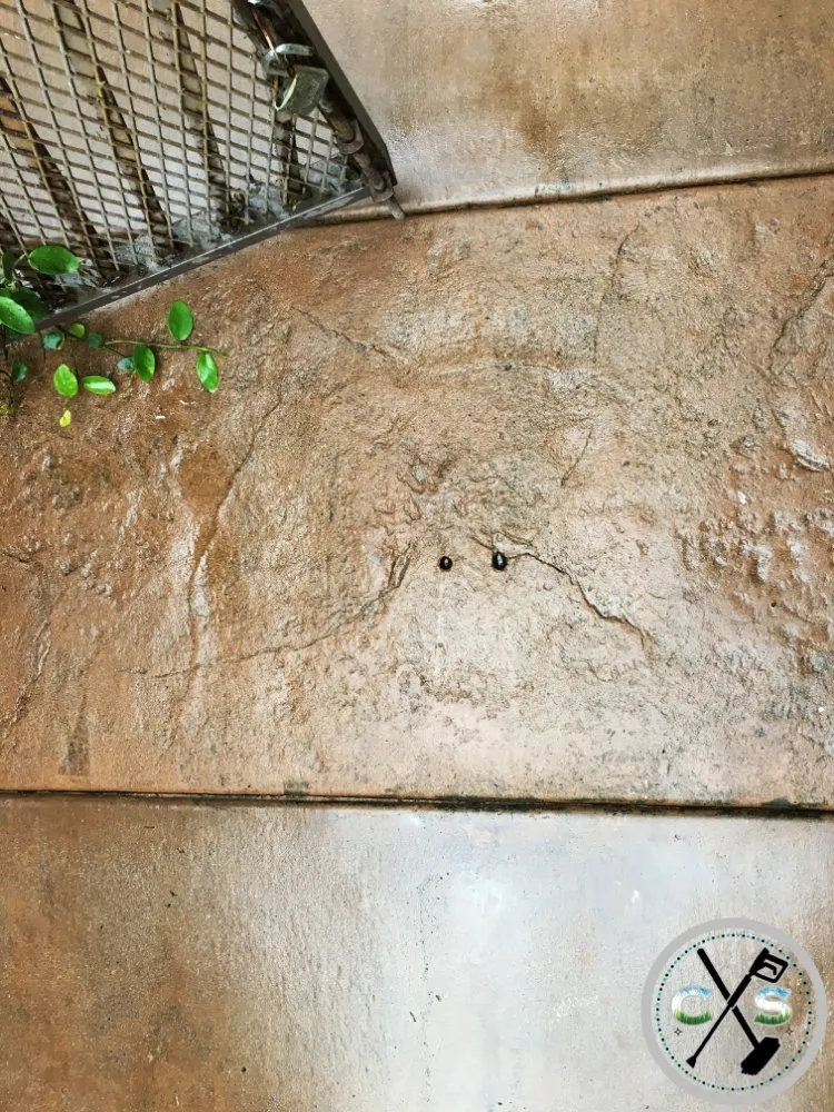 Expert landscape installation in Turlock, CA by Cleanscaping