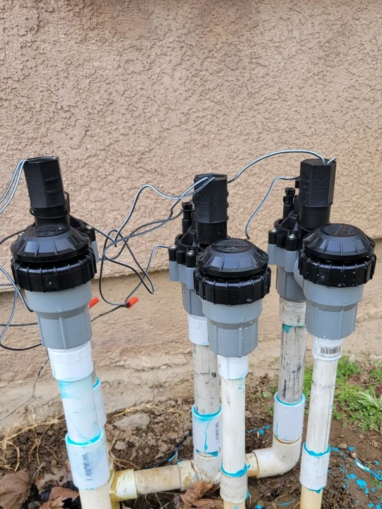 Top-rated lawn care service in Turlock, CA by Cleanscaping