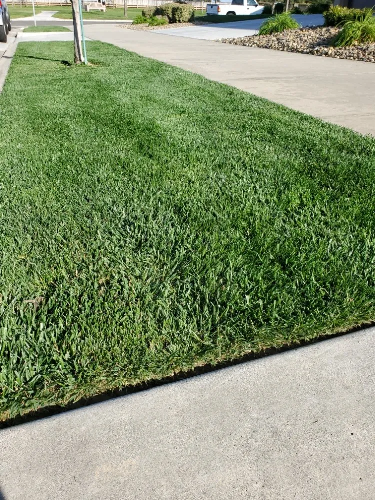 Expert landscape design in Turlock, CA by Cleanscaping