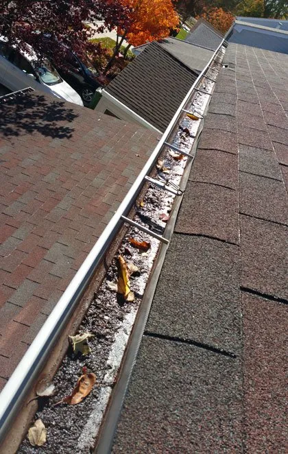 Expert yard cleanup service near you across Gloucester Township, NJ - Cleanup Service