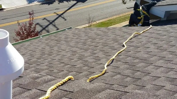 Professional yard cleanup service in Gloucester Township, NJ - Cleanup Service