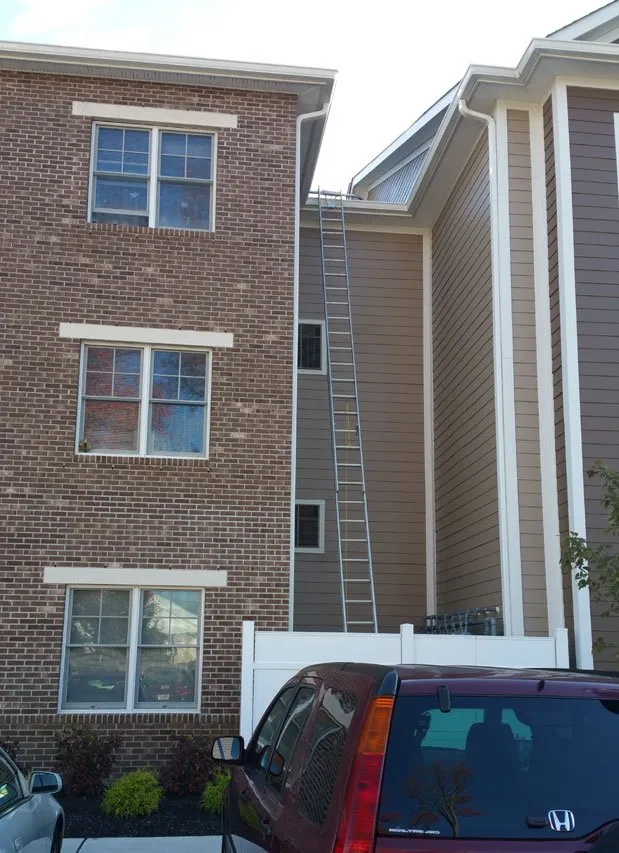 Local garden landscaping experts serving Gloucester Township, NJ - Cleanup Service