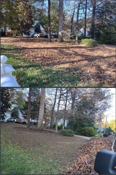 Professional yard maintenance in Wake Forest, NC by CleanYardCare