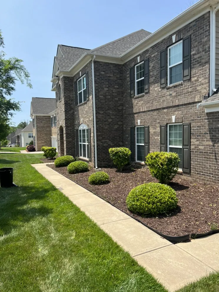 Custom landscape installation in Greensboro, NC by Clear Advantage Landscaping