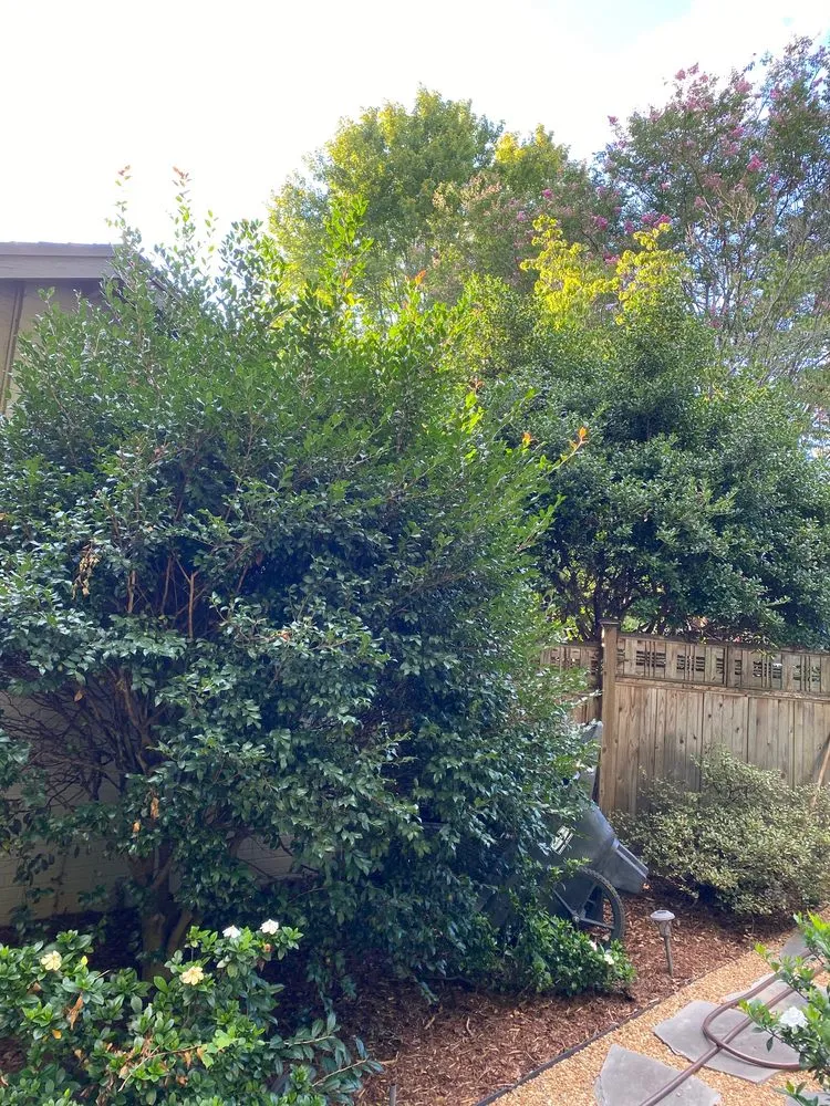 Local landscaping services in Greensboro, NC by Clear Advantage Landscaping