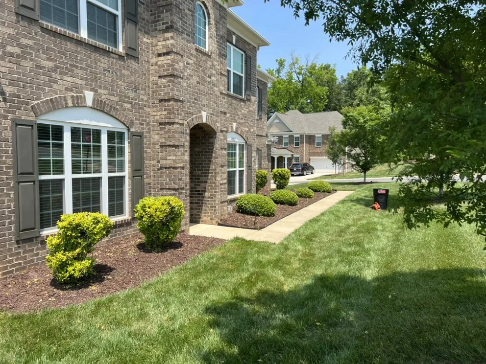 Custom lawn mowing service in Greensboro, NC - Clear Advantage Landscaping