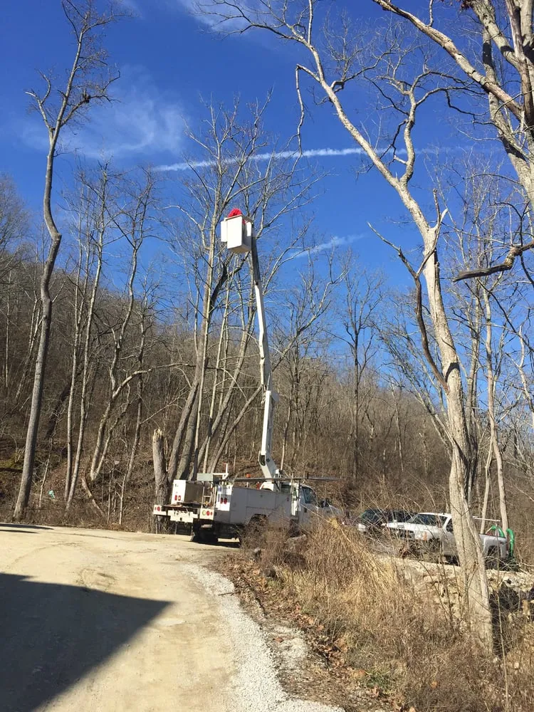 Expert lawn mowing service experts serving Covington, KY - Clear Choice Facility Maintenance