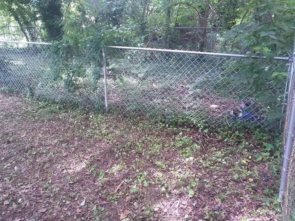 Reliable outdoor landscaping in Baltimore, MD - Clear Choice Hauling