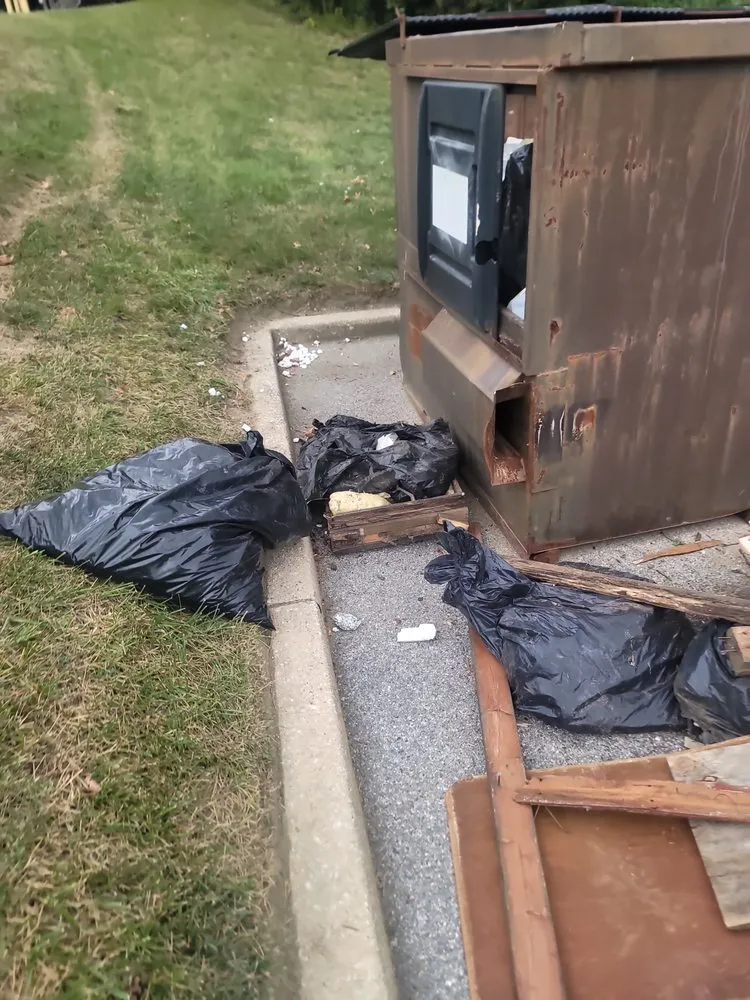 Custom lawn care service in Baltimore, MD by Clear Choice Hauling