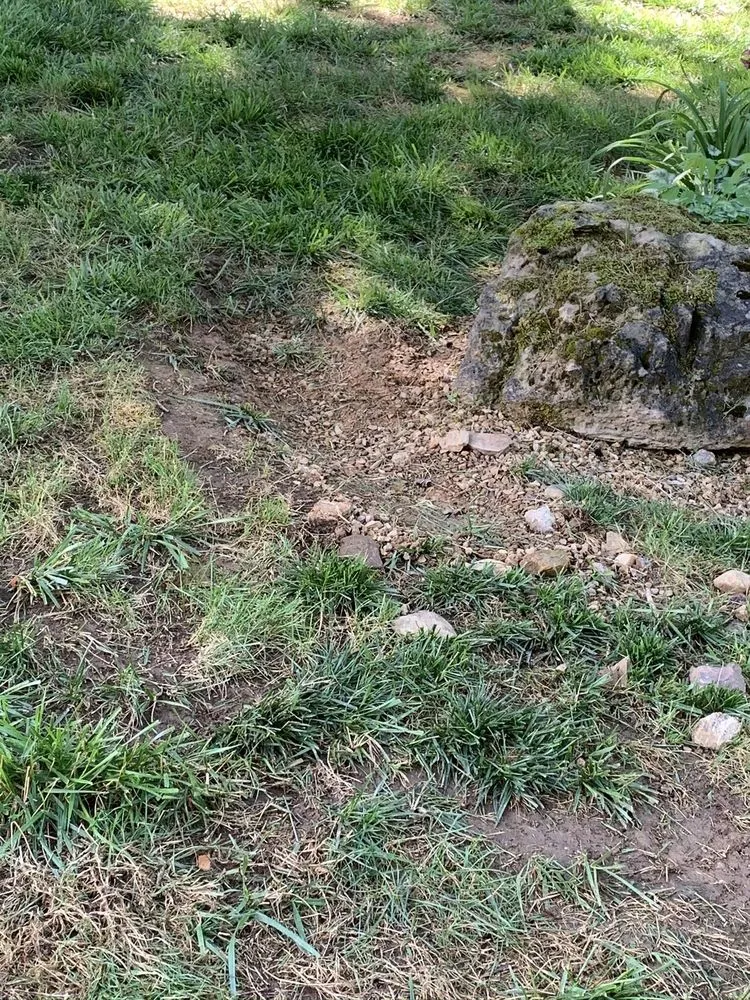 Trusted landscape installation for homes across New Market, TN - Clear Choice Landscape